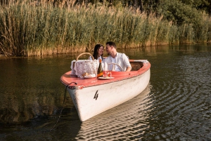Wien: Retro-Bootstour auf der Donau mit Picknick