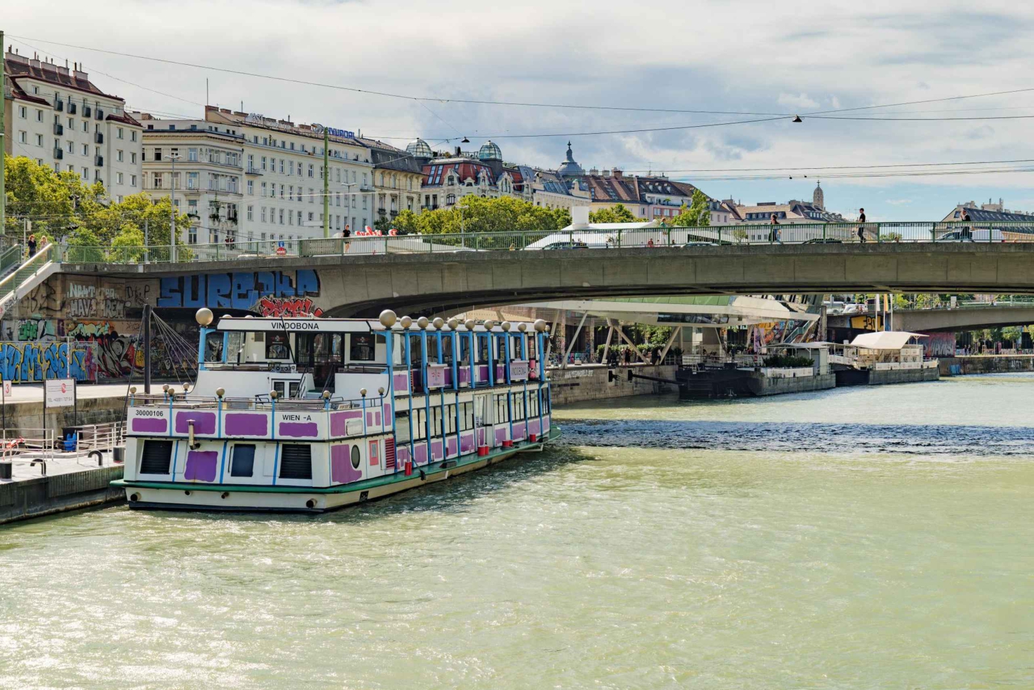 Croisière sur le fleuve Vienne, visite à pied de la cathédrale Saint-Étienne