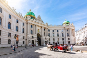Flodkryssning i Wien, stadsvandring med Stephansdomen