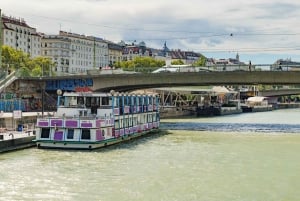 Croisière sur le fleuve Vienne, visite à pied de la cathédrale Saint-Étienne