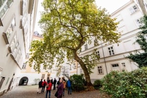Wien: Entdeckungstour durch die Romantische Altstadt