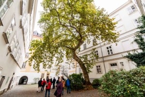 Vienna: Romantic Old Town 2-Hour Discovery Tour