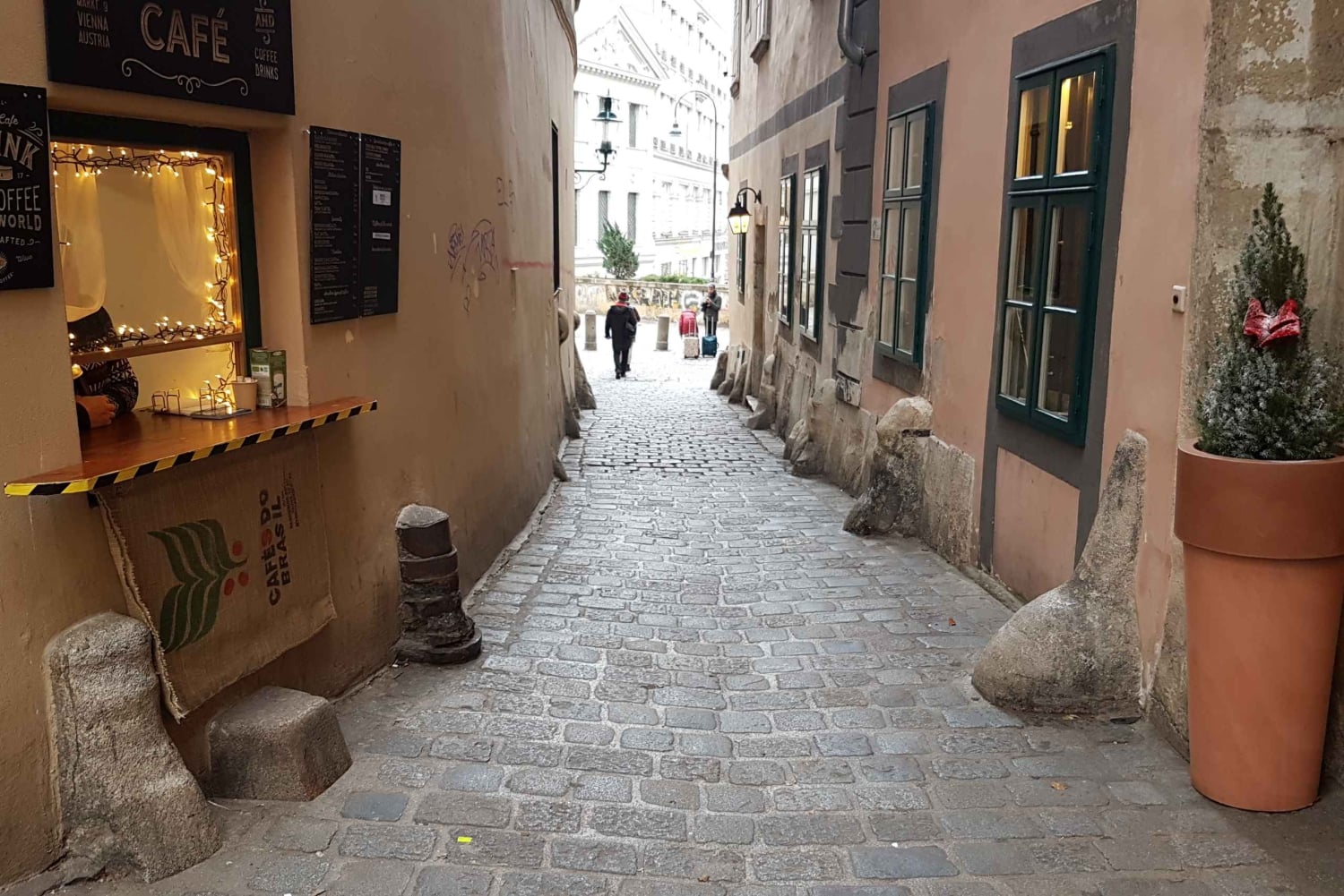 Vienna: Passeggiata romantica nella città vecchia di Vienna e degustazione di vini
