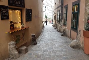 Wenen: romantische stadswandeling door het oude Wenen en wijnproeverij