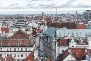 Vienna: Rooftop Guided Viewing with Drinks and Snacks
