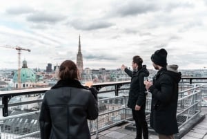 Vienna: Rooftop Guided Viewing with Drinks and Sweet