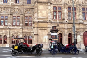 Vienna: Royal E-Carriage Sightseeing Tour incl. Prosecco