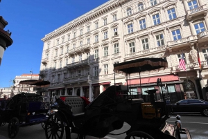 Vienna: Royal E-Carriage Sightseeing Tour incl. Prosecco