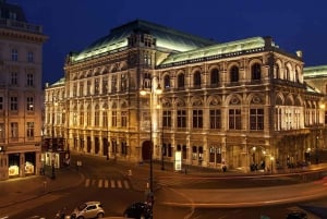 Vienna’s Ringstrasse: 3-Hour Walk with a Historian