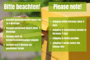Вена: самостоятельный тур по поиску мусора
