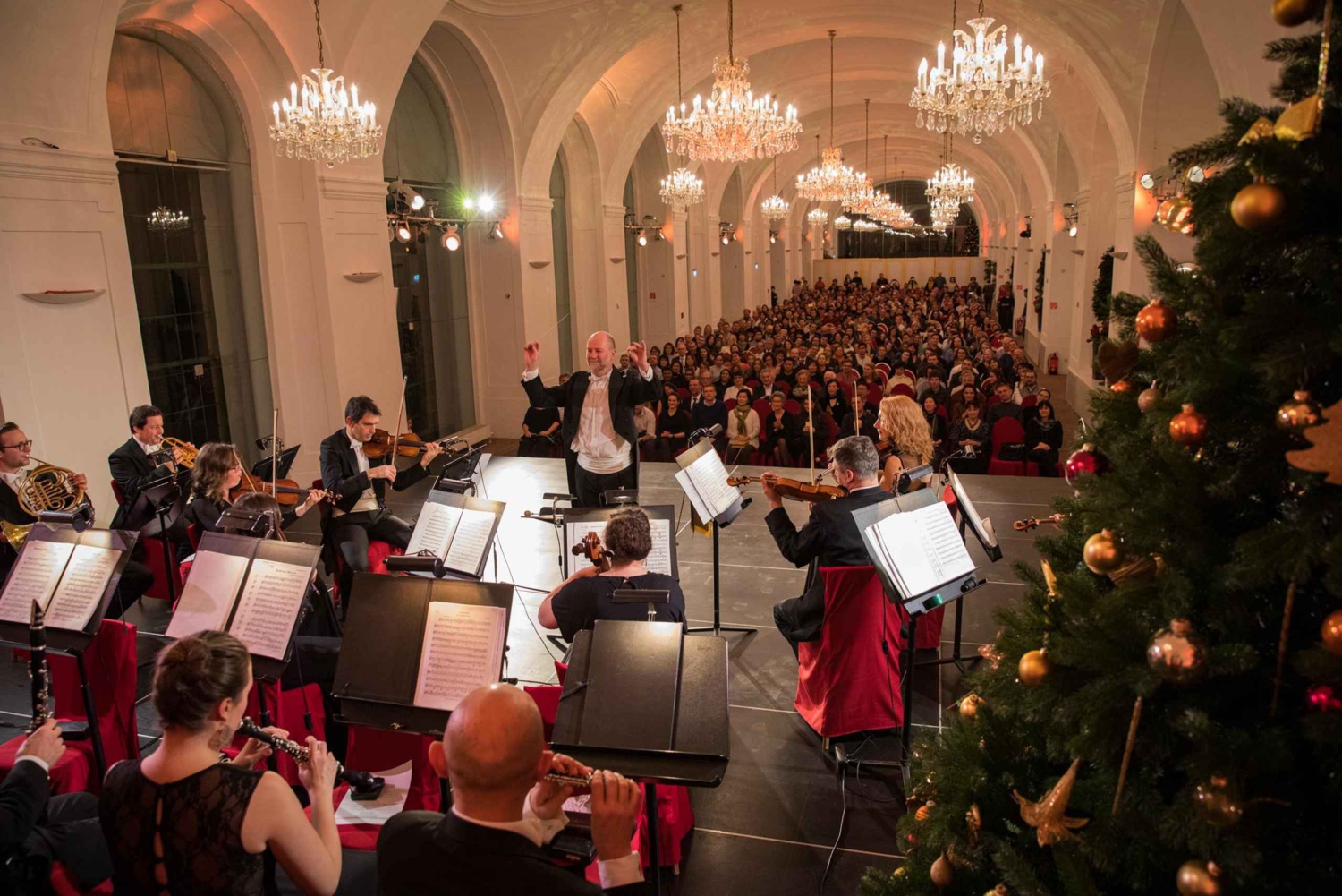Vienna: Schönbrunn Christmas Market and Classical Concert