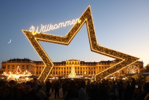 Vienna: Schönbrunn Christmas Market and Classical Concert