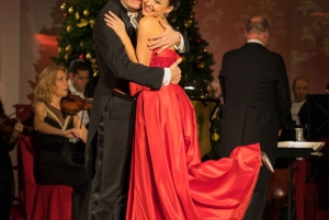 Vienna: Schönbrunn Christmas Market and Classical Concert