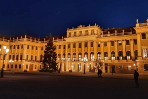 Vienna: Schönbrunn Gardens Tour