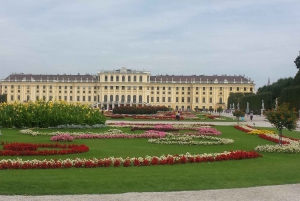 Vienna: Schönbrunn Palace and City Center Guided Tour