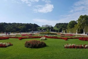 Wiedeń: wycieczka z przewodnikiem po pałacu Schönbrunn i centrum miasta