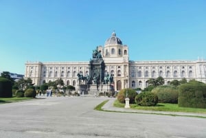 Wien: Schönbrunn slott og omvisning i sentrum