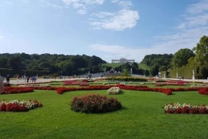 Wien: Schönbrunn slottet och stadskärnan guidad tur