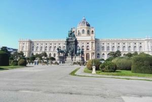 Wien: Schönbrunn slottet och stadskärnan guidad tur