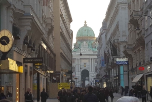 Wien: Schönbrunn slottet och stadskärnan guidad tur