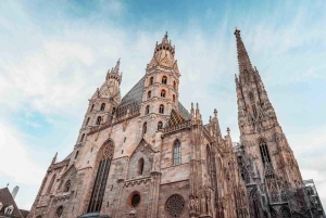 Wien: Schönbrunn slottet och stadskärnan guidad tur