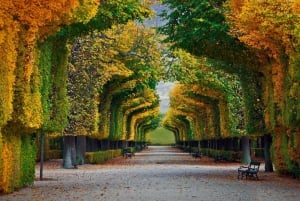 Vienna: Schönbrunn Palace and its enchanting gardens - guided tour