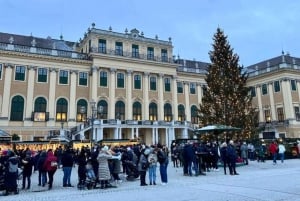 Viena: Tour a pie por el Palacio de Schönbrunn y el Mercado de Navidad