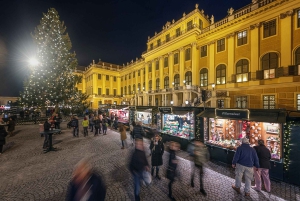 Wien: Rundvandring i slottet Schönbrunn och på julmarknaden