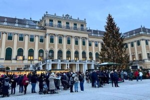 Wien: Rundvandring i slottet Schönbrunn och på julmarknaden