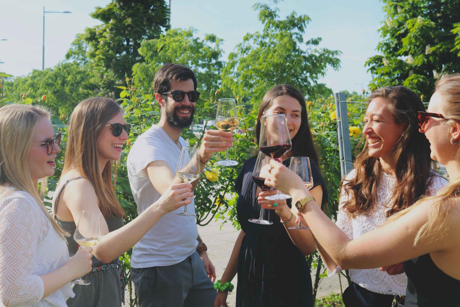 Vienna: Schönbrunn Palace Entry Ticket and Wine Tasting