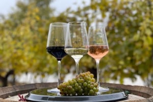 Vienna: Schönbrunn Palace Entry Ticket and Wine Tasting