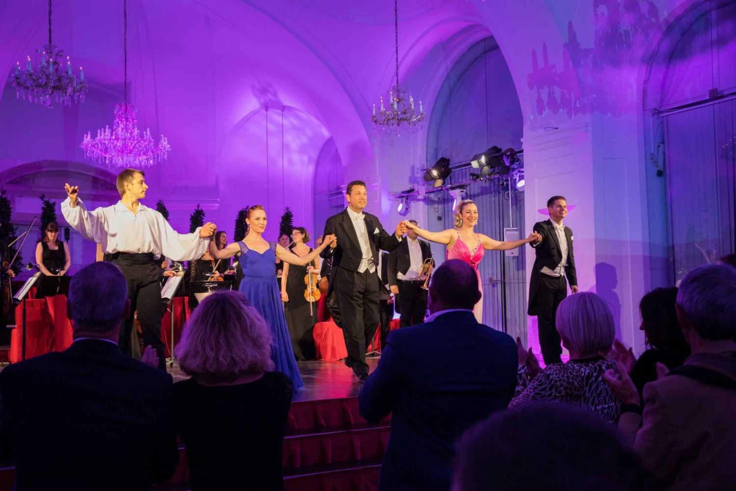 Vienna: tour serale al Palazzo di Schönbrunn con cena e concerto