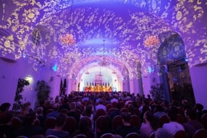 Wien: Schönbrunn Slot, aftenrundvisning, middag og koncert