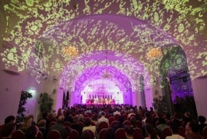 Wien: Schloss Schönbrunn – Abendtour, Abendessen und Konzert