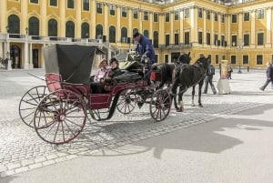 Vienna: tour con salta fila del Castello e dei Giardini di Schönbrunn