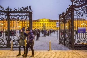 Vienna: tour con salta fila del Castello e dei Giardini di Schönbrunn