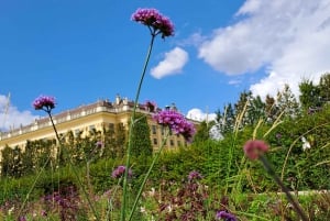 Schloss Schönbrunn i Wien: Skattejakt til slottsparkens perler