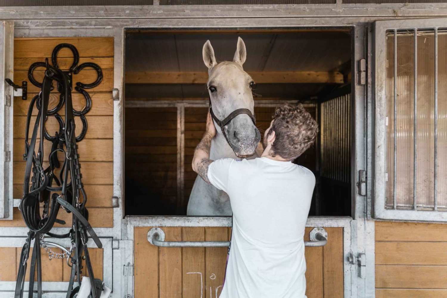 Wien: Fiakernes hemmeligheter og tur med hestevogn