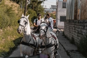 Wien: Fiakers hemligheter och hästdriven vagn