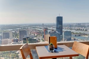 Viena: Ingresso sem Fila para a Torre do Danúbio