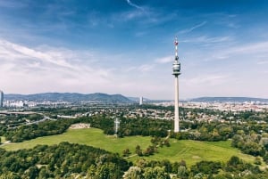 Wien: Inträdesbiljett med köföreträde till Donautornet