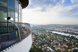 Wien: Forbi-køen-billett til Donautårnet