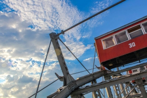 Vienna: Skip-the-cashier-desk-line Giant Ferris Wheel Ride