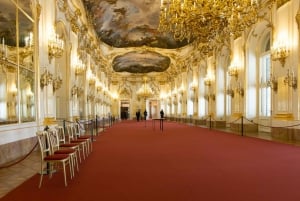 Viena: Excursão sem fila ao Palácio e Jardins de Schonbrunn