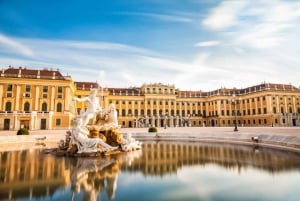 Vienna: tour privato del Palazzo di Schönbrunn con ingresso prioritario