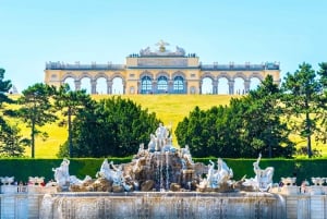 Wien: Privat rundvisning i Schönbrunn Slot uden om linjen