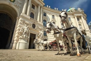 Vienna: Skip-the-Line Sisi Museum, Hofburg and Gardens Tour