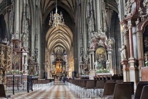 Vienna: Skip-the-Line St. Stephen’s Cathedral & Walking Tour