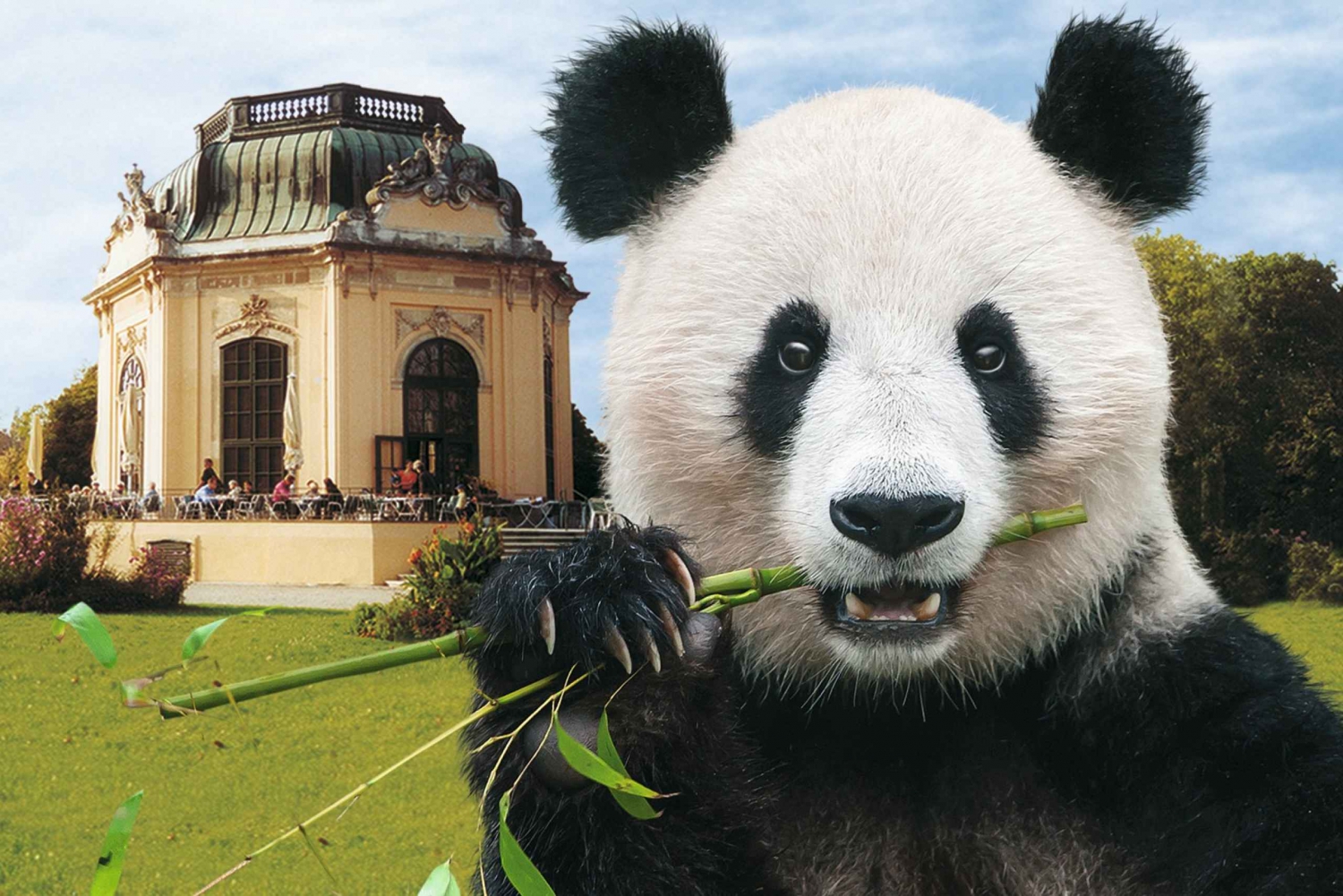Wien: Schönbrunn Zoo – biljett & köföreträde till djurparken