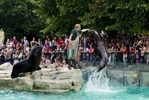 Schönbrunn Zoo: Skip køen-entrébilletter